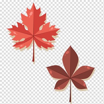 Maple leaf Autumn, Leaves transparent background PNG clipart