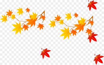 Maple leaf Autumn - Maple Leaf 