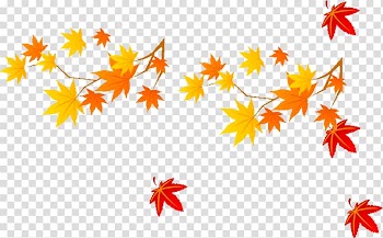 Maple leaf Autumn, Maple Leaf transparent background PNG clipart