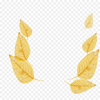 Maple leaf - Autumn maple leaf vector 