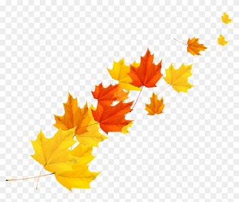 Maple Leaf Autumn - Maple Leaf Vector Png