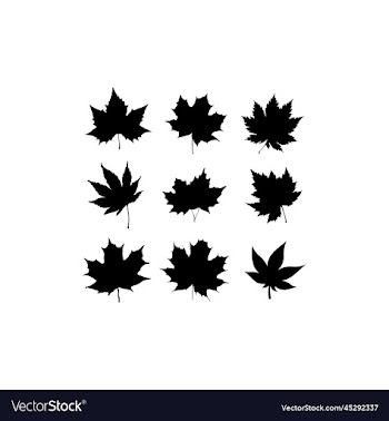 maple leaf autumn set icon design
