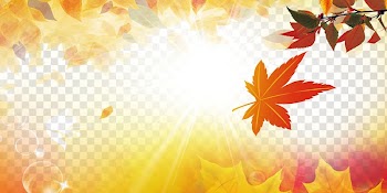 Maple leaf Autumn Yellow, Autumn Maple Leaf transparent background PNG clipart