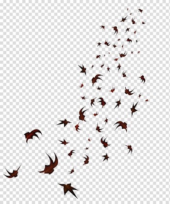 Maple leaf, bat transparent background PNG clipart