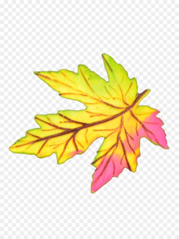 Maple leaf Buffet Confectionery Petal - foglia pictogram 
