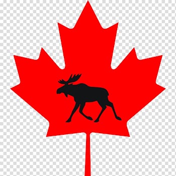 Maple leaf Canada , canada flag transparent background PNG clipart