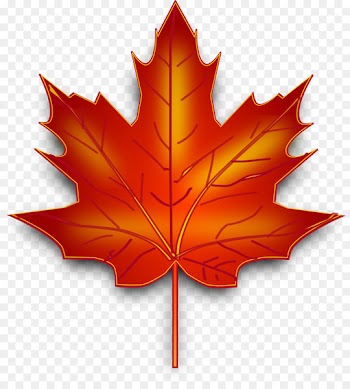 Maple leaf Canada Clip art - gastrointestinal 
