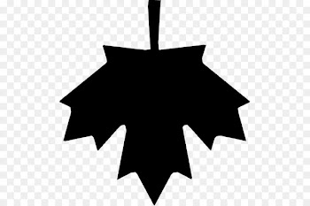 Maple leaf Canada Clip art - maple vector 