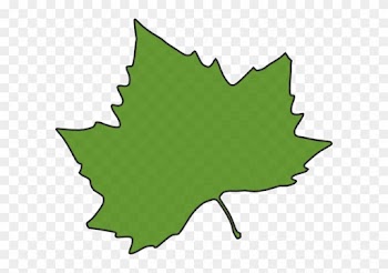 Maple Leaf Clip Art - Ahornblatt Png