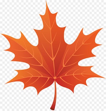 Maple leaf Clip art - Autumn Fall Leaves Clip Art PNG 