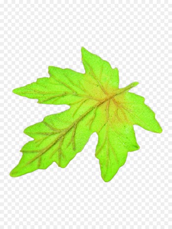 Maple leaf Clip art Shape Image - leaf 