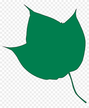Maple Leaf Clipart 5 Point - Maple Leaf Clipart 5 Point
