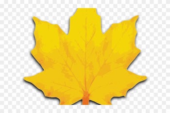 Maple Leaf Clipart Big Leaf - Maple Leaf Clip Art