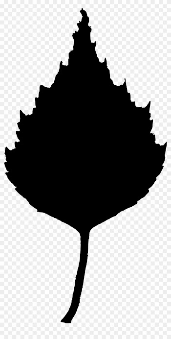 Maple Leaf Clipart - Birch Leaf Clip Art