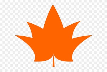 Maple Leaf Clipart Colored Leaf - Çınarpare Evleri