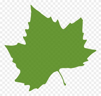 Maple Leaf Clipart Colorful Leave - Autumn Leaves Clip Art