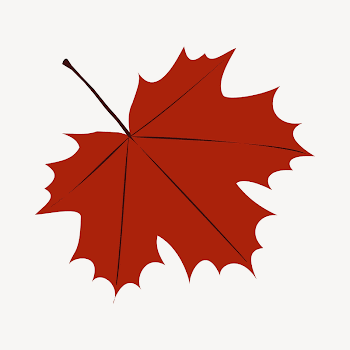 Maple leaf clipart illustration psd. | Free PSD - rawpixel