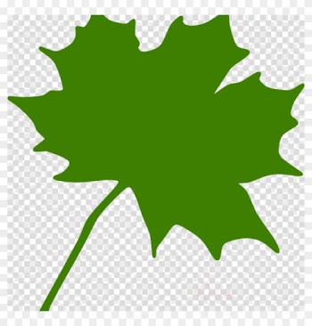 Maple Leaf Clipart Maple Leaf Clip Art - Canada Maple Leaf Clip Art