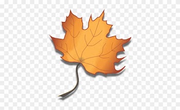 Maple Leaf Clipart Maple Syrup - Maple Leaf Syrup Drip