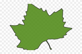 Maple Leaf Clipart Sycamore Leaf - Autumn Leaves Clip Art
