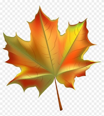 Maple Leaf Clipart Transparent - Clip Art Autumn Leaf