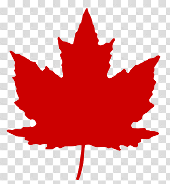 Maple Leaf Clipart transparent PNG - StickPNG