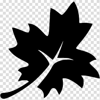 Maple leaf Computer Icons Autumn leaf color Tree, black leaf transparent background PNG clipart
