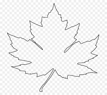 Maple leaf Drawing Flag of Canada Clip art - leaf outline 