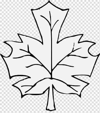 Maple leaf Drawing Line art, leaf transparent background PNG clipart