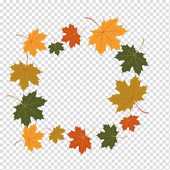 Maple leaf Euclidean Illustration, leaf decoration transparent background PNG clipart