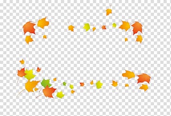 Maple leaf Euclidean , Leaf frame transparent background PNG clipart