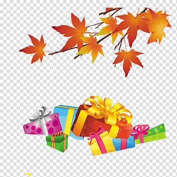 Maple leaf Euclidean , Maple Leaf Gift transparent background PNG clipart