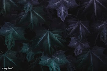 Maple leaf foliage background | Free stock vector - 1016512