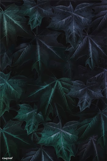 Maple leaf foliage background | Free stock vector - 1016516