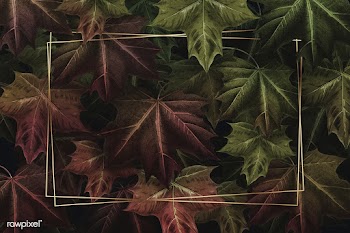 Maple leaf foliage frame | Free stock illustration - 1016475