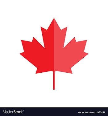 Maple leaf for canada flag maple symbol vector image