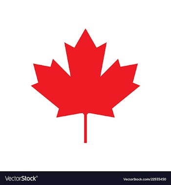 Maple leaf for canada flag maple symbol vector image
