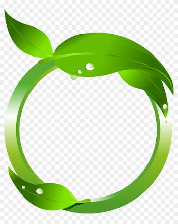 Maple Leaf Green Clip Art - Leafs Vector Png