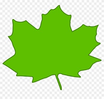 Maple Leaf Green Plant Nature Foliage Tree - Light Green Leaves Clipart
