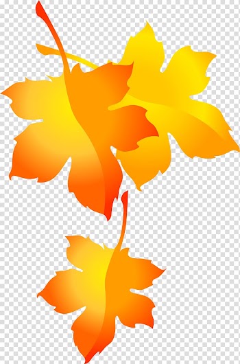 Maple leaf , Hand-painted maple leaf pattern transparent background PNG clipart