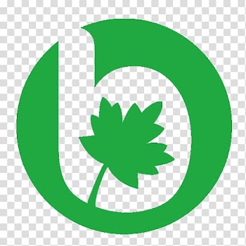 Maple leaf Hjemås Bursa Haber bursa reklam, Leaf transparent background PNG clipart