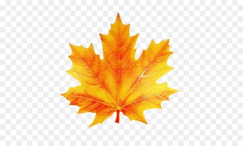 Maple leaf Image Painting Stock photography - Leaf 