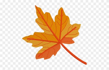 Maple Leaf - Large - 3 Tone - Maple Leaf
