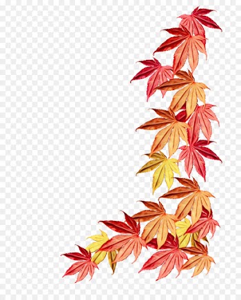 Maple Leaf, Leaf, Line, Tree PNG
