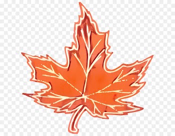 Maple Leaf, Leaf, Maple PNG