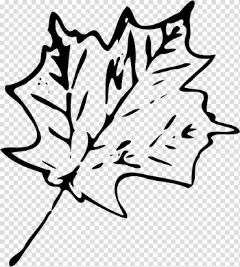 Maple leaf , Leaf transparent background PNG clipart