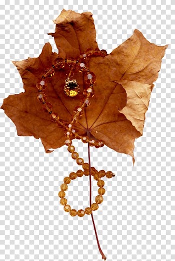 Maple leaf , Leaf transparent background PNG clipart