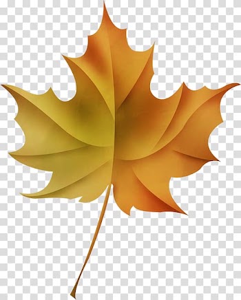 Maple leaf, Leaf transparent background PNG clipart