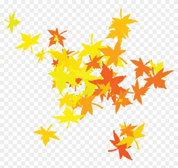 Maple Leaf - Leaves - Leaf