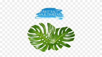 Maple Leaf Logo Download - Leaf Monstera Png Transparent